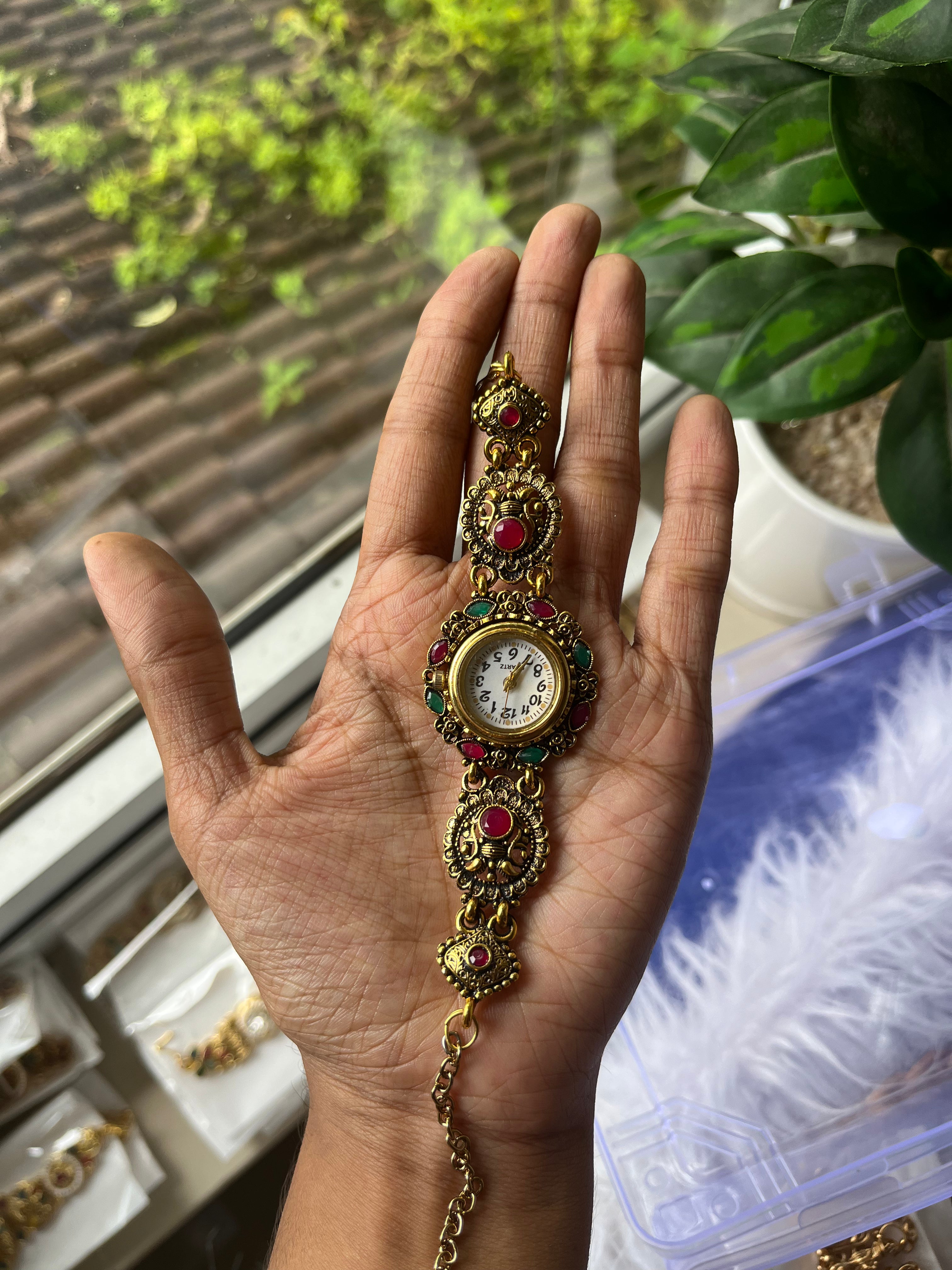 Rajsi Heritage Watch